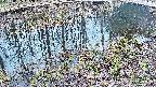 mizubasho7-20250405132041.jpg