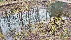 mizubasho7-20250405134042.jpg