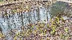 mizubasho7-20250405135040.jpg