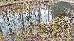 mizubasho7-20250405140043.jpg