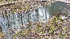 mizubasho7-20250405142041.jpg