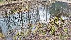 mizubasho7-20250405144042.jpg