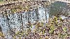 mizubasho7-20250405145042.jpg