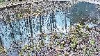 mizubasho7-20250405150042.jpg