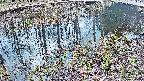 mizubasho7-20250405151044.jpg