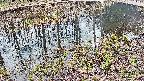 mizubasho7-20250405152042.jpg