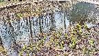 mizubasho7-20250405154043.jpg