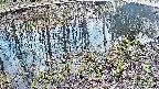 mizubasho7-20250405163045.jpg