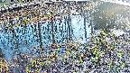 mizubasho7-20250405171041.jpg