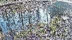 mizubasho7-20250405174043.jpg