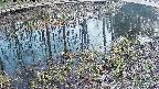 mizubasho7-20250405182042.jpg