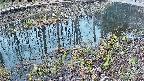mizubasho7-20250406050040.jpg