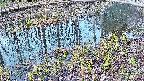 mizubasho7-20250406060045.jpg
