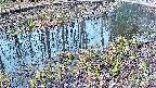 mizubasho7-20250406063041.jpg