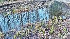 mizubasho7-20250406065044.jpg
