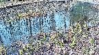 mizubasho7-20250406070044.jpg