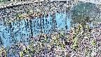 mizubasho7-20250406071040.jpg