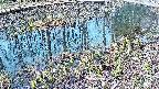 mizubasho7-20250406072041.jpg