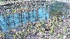 mizubasho7-20250406073040.jpg