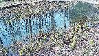 mizubasho7-20250406081042.jpg