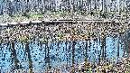 mizubasho7-20250406083042.jpg