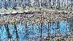 mizubasho7-20250406085042.jpg