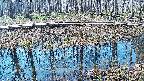 mizubasho7-20250406090043.jpg