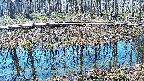 mizubasho7-20250406091045.jpg
