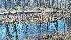 mizubasho7-20250406094044.jpg