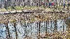mizubasho7-20250406100039.jpg