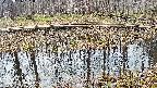mizubasho7-20250406101045.jpg