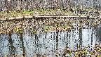 mizubasho7-20250406131044.jpg