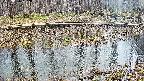 mizubasho7-20250406132041.jpg