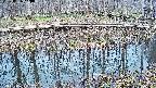 mizubasho7-20250406140042.jpg