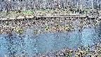 mizubasho7-20250406151044.jpg