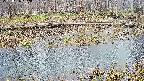 mizubasho7-20250406152041.jpg