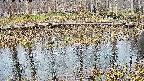mizubasho7-20250406154043.jpg