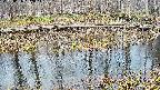 mizubasho7-20250406162045.jpg