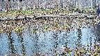 mizubasho7-20250406163045.jpg