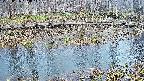 mizubasho7-20250406164044.jpg