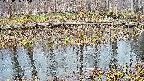 mizubasho7-20250406165042.jpg