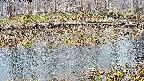 mizubasho7-20250406173041.jpg