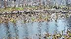 mizubasho7-20250406175041.jpg