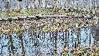 mizubasho7-20250407060044.jpg