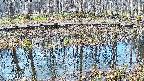 mizubasho7-20250407075041.jpg
