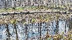 mizubasho7-20250407085043.jpg