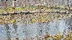 mizubasho7-20250407094044.jpg