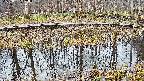 mizubasho7-20250407100043.jpg