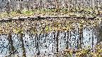 mizubasho7-20250407101043.jpg