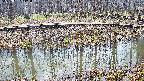 mizubasho7-20250407111042.jpg